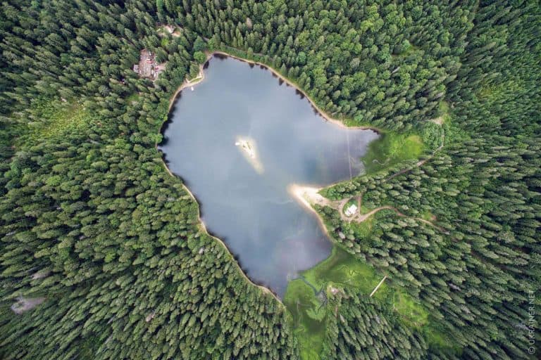 Озеро Синевир серед карпатського лісу — фото 2